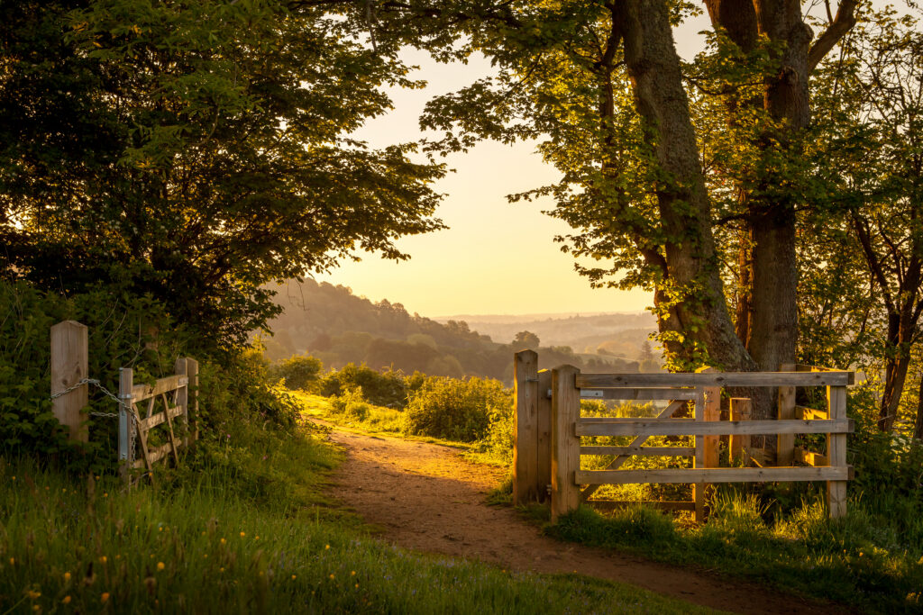 Family and Civil Mediation in Surrey, Guildford, Farnham, Godalming, Haslemere, Camberley, Ash, Addlestone, Sunbury-on-Thames, Redhill, Epsom, Waverley.  Legal Aid Services.
